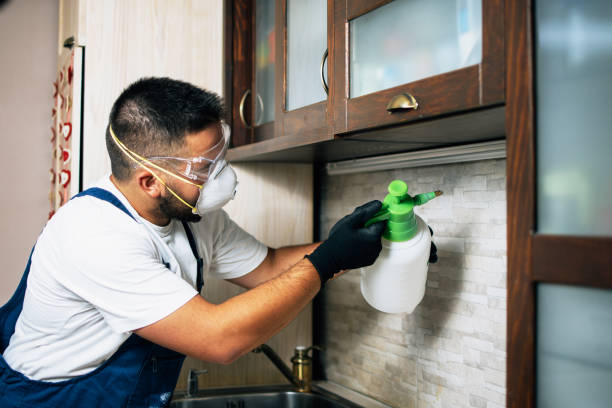 Pest Prevention Services in Greenwood, DE