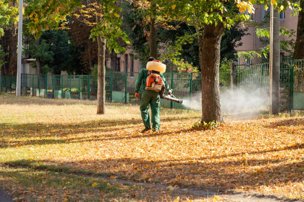 Trusted Greenwood, DE Pest Control Experts